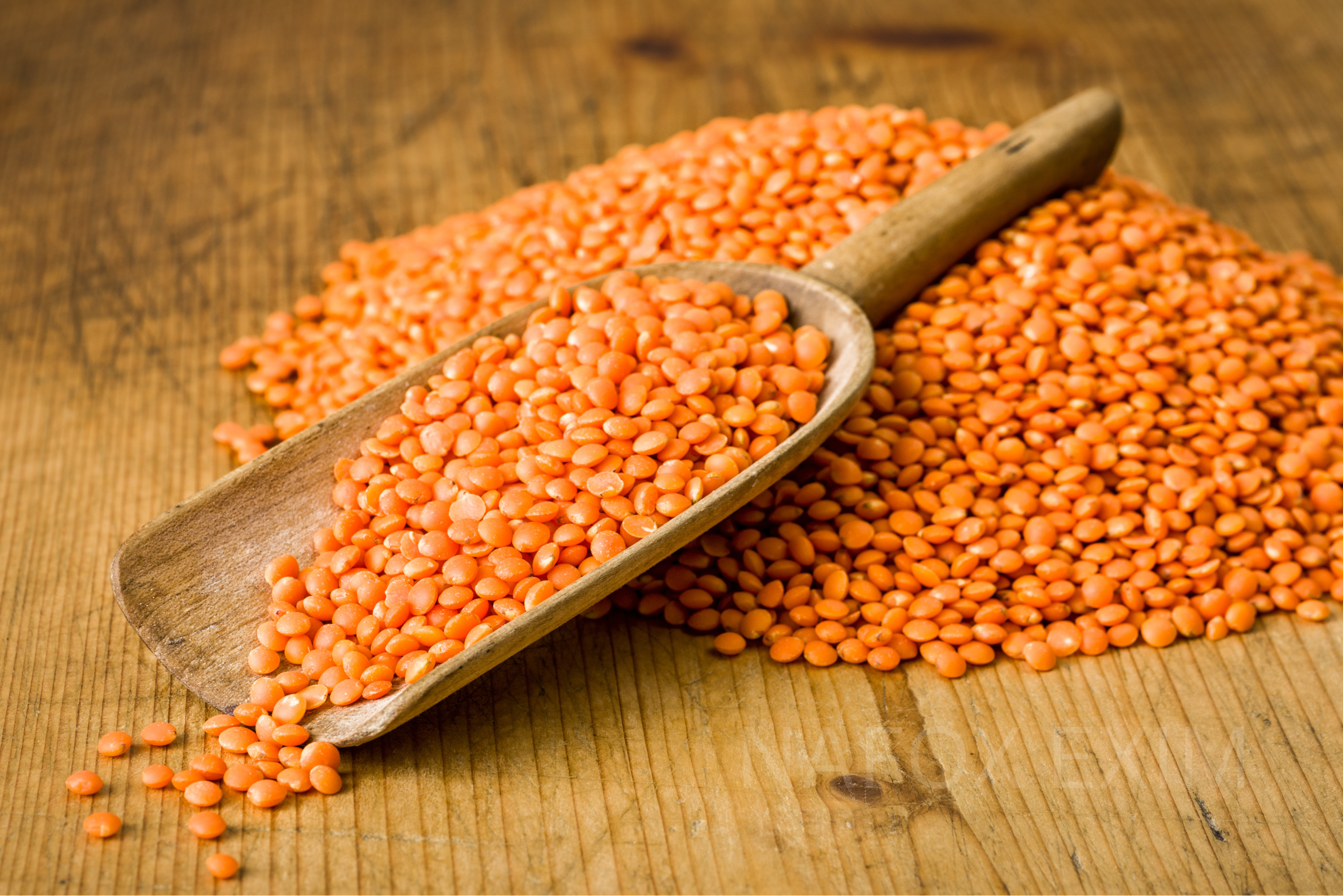 Red Lentils (Masoor Dal)
