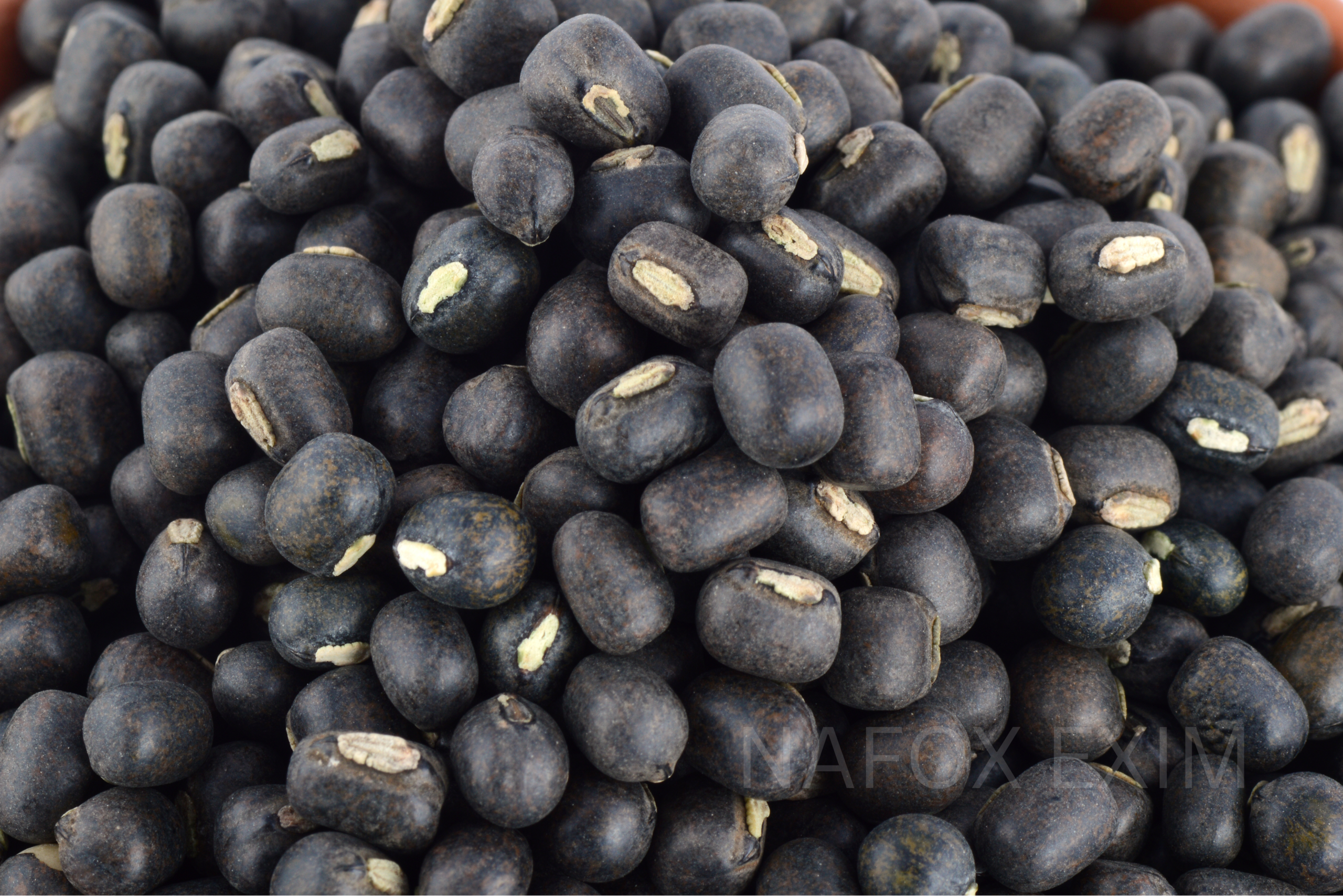 Black Gram (Urad Dal)