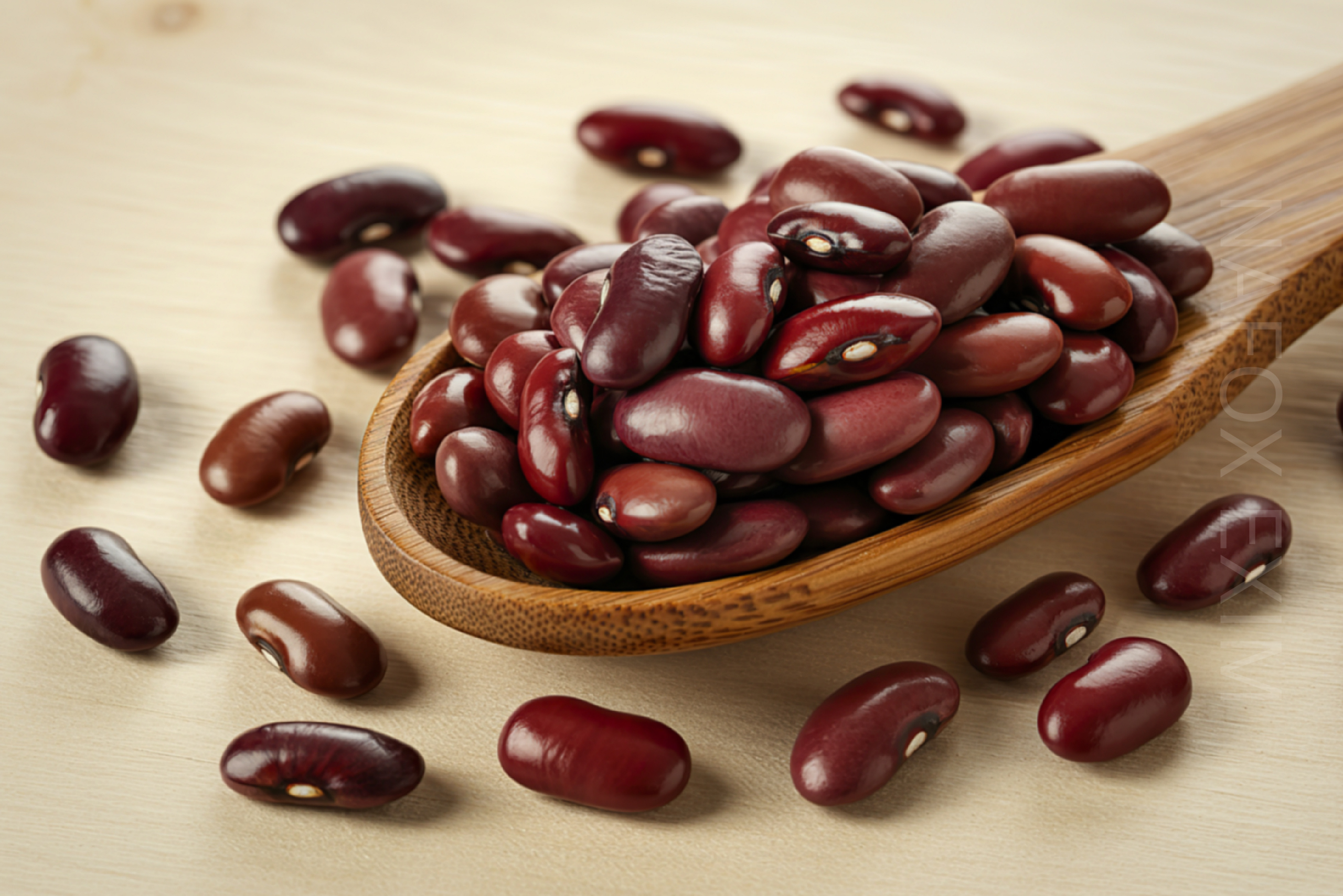 Kidney Beans (Rajma)